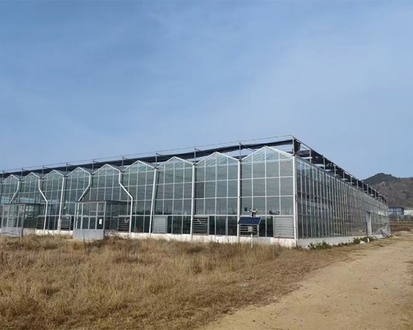 玻璃溫室